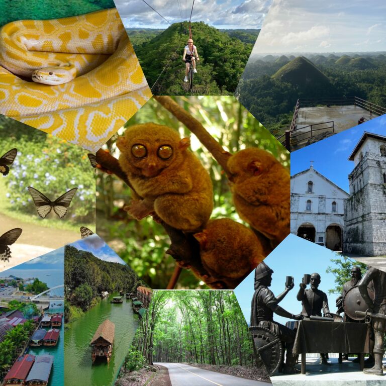 Countryside Day Tour