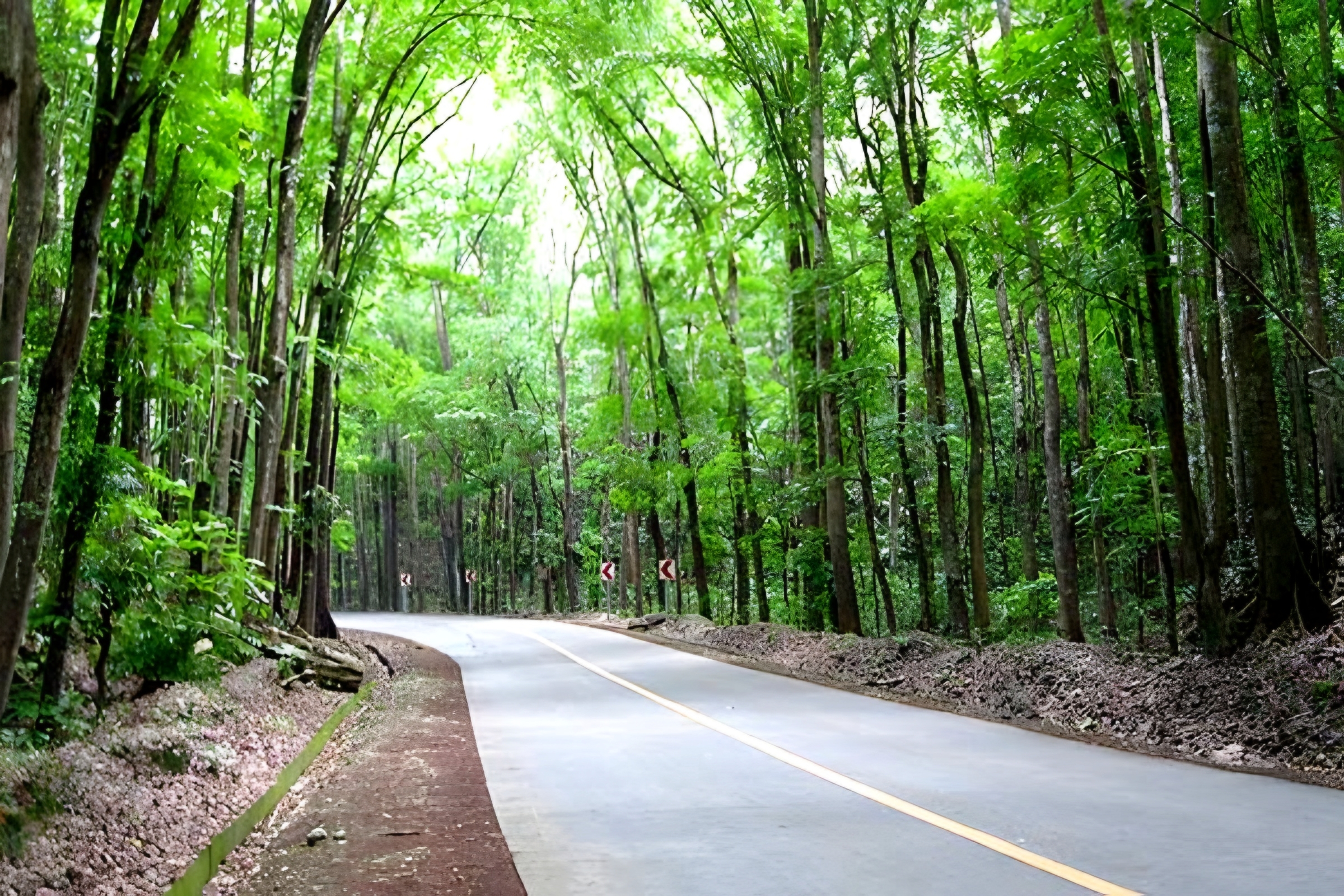 {"remix_data":[],"remix_entry_point":"challenges","source_tags":["local"],"origin":"unknown","total_draw_time":0,"total_draw_actions":0,"layers_used":0,"brushes_used":0,"photos_added":0,"total_editor_actions":{},"tools_used":{"ai_enhance":1,"enhance":1},"is_sticker":false,"edited_since_last_sticker_save":true,"containsFTESticker":false}