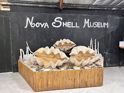 Shell Museum